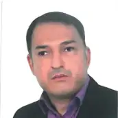 دکتر حسن رضایی هفتادر دانشیار دانشگاه پردیس فارابی دانشگاه تهران