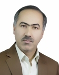  مجتبی پورسلیمی دانشیار دانشگاه فردوسی مشهد