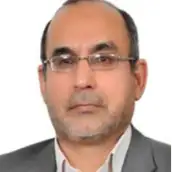 دکتر بهروز مینایی بیدگلی استادیار، دانشگاه علم وصنعت، ایران