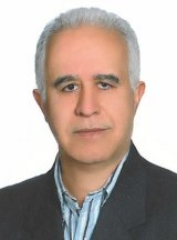  محمدتقی شیخی استاد بازنشسته دانشگاه الزهرا