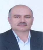 دکتر محمد حسین کرمی استاد زبان و ادبیات فارسی دانشگاه شیراز دکتر محمد حسین کرمی استاد زبان و ادبیات فارسی دانشگاه شیراز