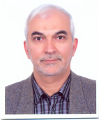 پروفسور علی اصغر اصغریان جدی عضو هیات علمی دانشگاه صنعتی امیرکبیر