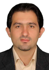 دکتر سعید حمزه دانشیار دانشگاه تهران