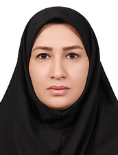 دکتر الهام ناظمی استادیار گروه شهرسازی دکتر الهام ناظمی استادیار گروه شهرسازی