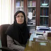 دکتر ژیلا سجادی  استاد گروه جغرافیا و برنامه ریزی شهری دانشگاه شهید بهشتی